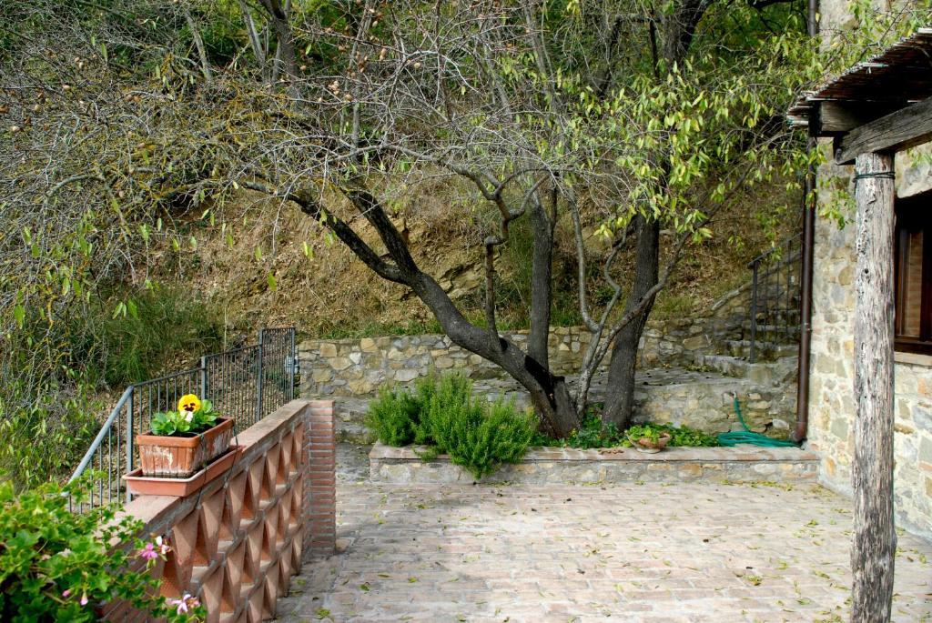 Podere Monte Petreto San Savino  Номер фото