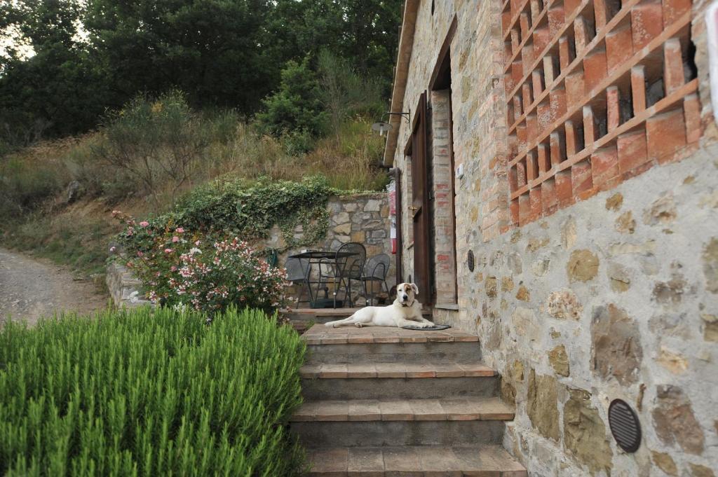 Podere Monte Petreto San Savino  Номер фото