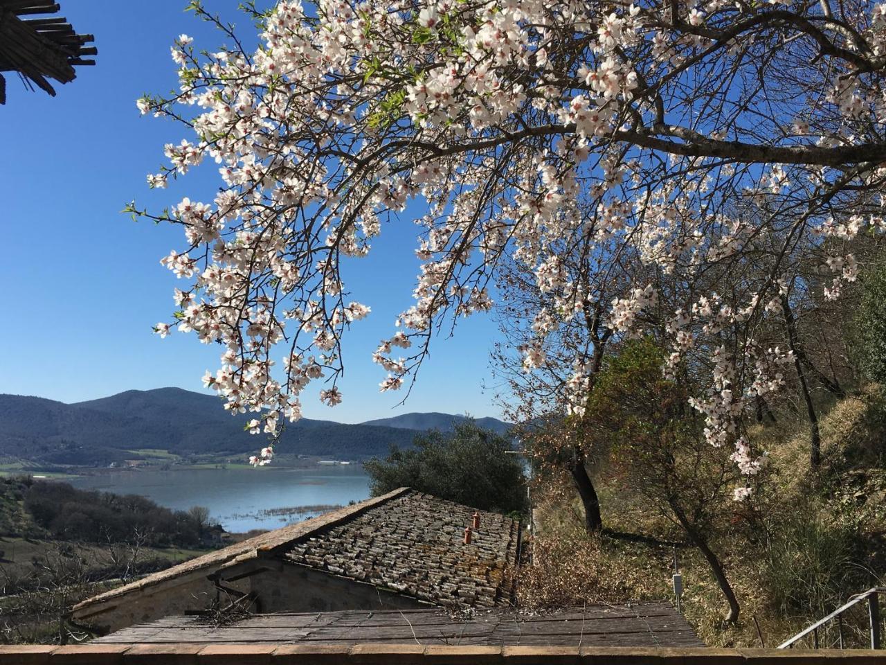 Podere Monte Petreto San Savino  Екстер'єр фото